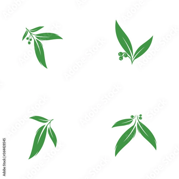 Fototapeta Eucalyptus leaves logo vector template design