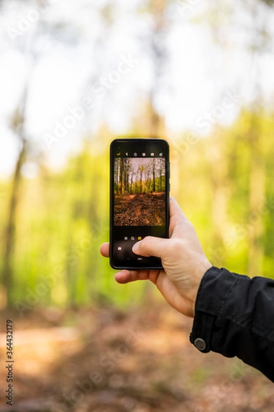 Obraz Taking a picture with a phone in the forest by a man