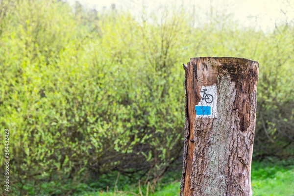 Obraz Bicycle trail in the forest, in bright spring colors