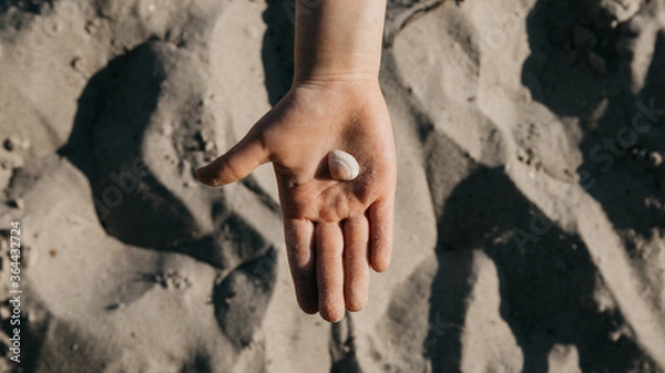 Obraz Beach vacation - Child's hand showing a shell found on the sea shore