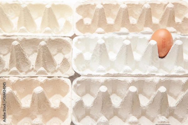 Obraz One egg with a number in empty cartons symbolizing mass production