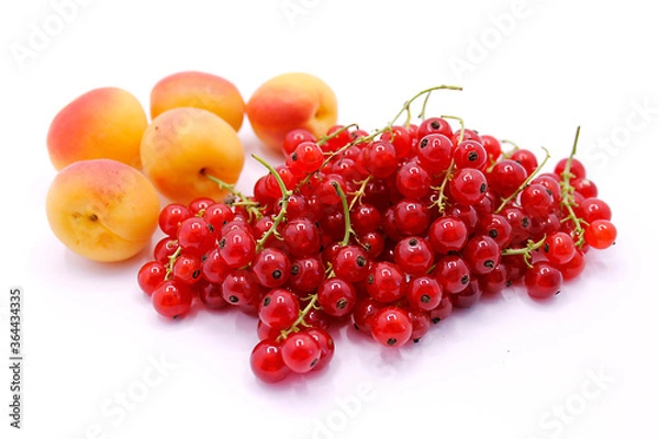 Fototapeta Red currant and apricot berries close-up isolated on a white background