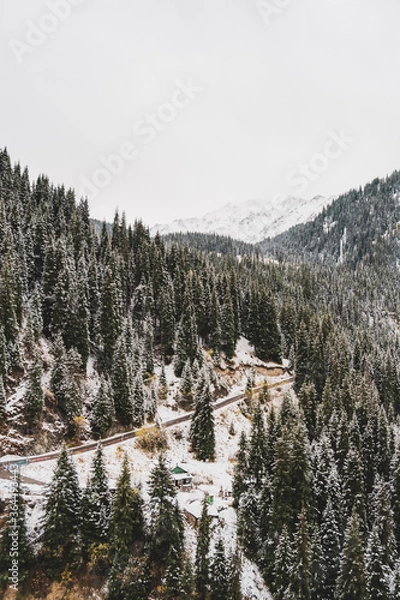 Obraz snow covered mountains