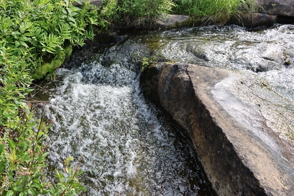 Fototapeta waterfall in the woods