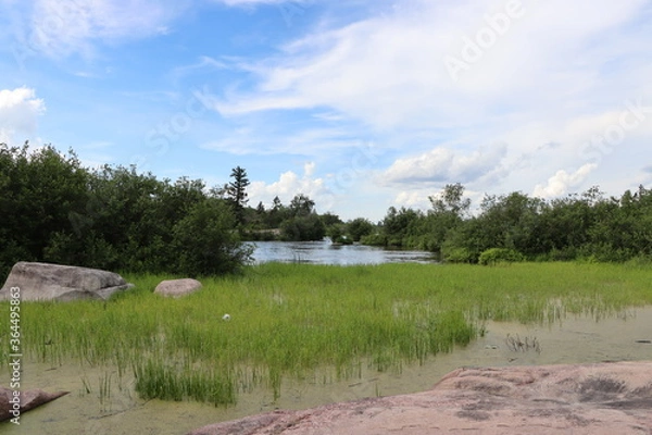 Fototapeta landscape with river
