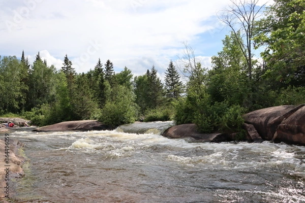 Obraz river in the forest