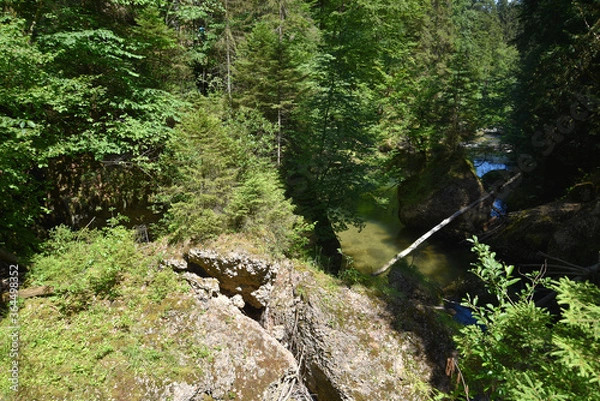 Fototapeta Flusslandschaft