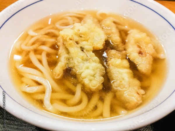 Obraz 博多のゴボウ天うどん