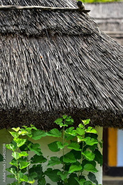 Fototapeta Traditional architecture details of Romania authentic crafted households from all regions of the country