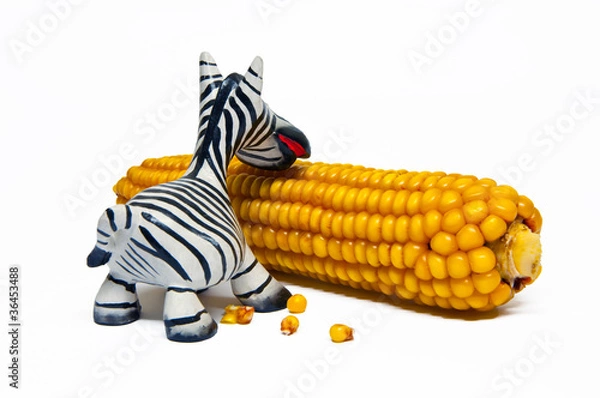 Obraz Zebra isst Maiskolben