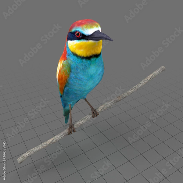 Obraz European Bee Eater