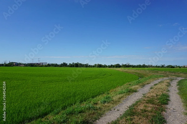 Fototapeta Vita all'area aperta 