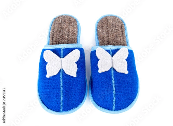 Obraz slippers