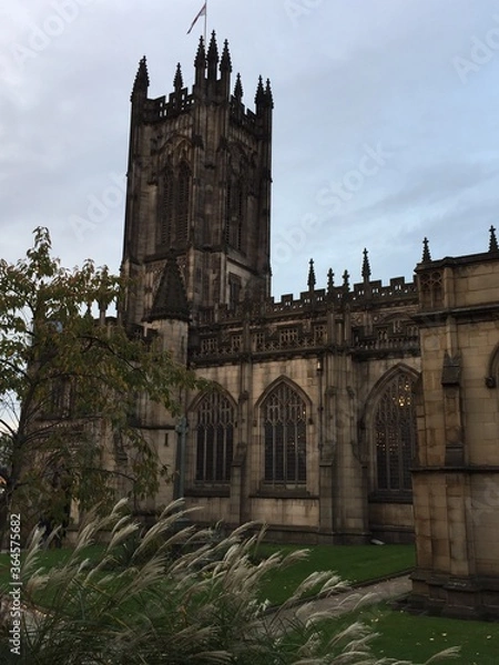 Obraz st vitus cathedral