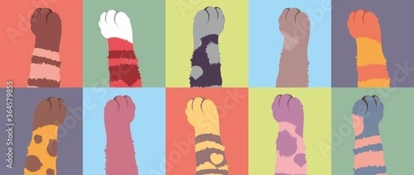 Fototapeta Paws of cats of different colors. 10 spotted, striped, one-color cat legs in rectangles. Shaggy woolen paws in the vector. Painting of modern art.