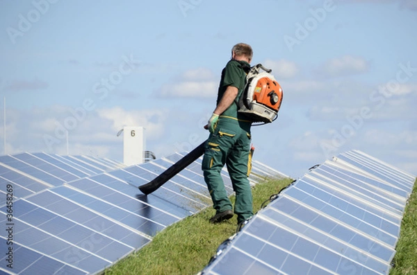 Obraz Reinigung von Modulen in einem Solarpark