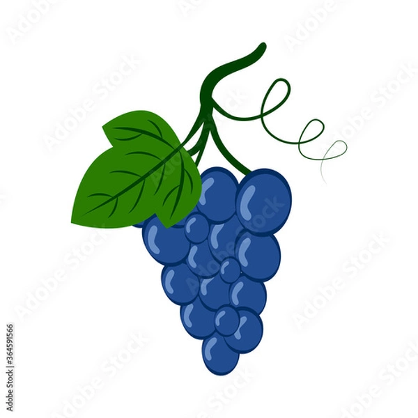 Obraz Grape isolated on white background. Grape flat icon.
