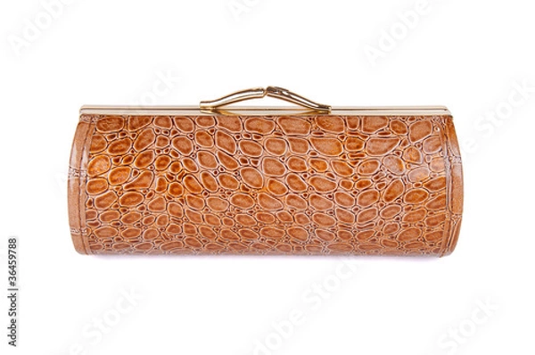 Obraz spectacle-case