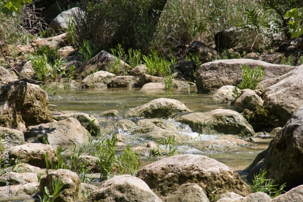 Fototapeta a collection of rounded rocks in a stream bed