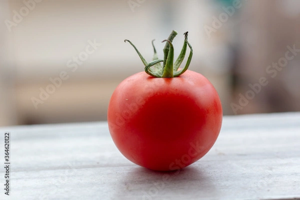 Obraz Tomato