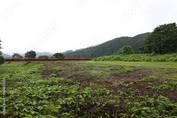 Obraz 田舎の風景