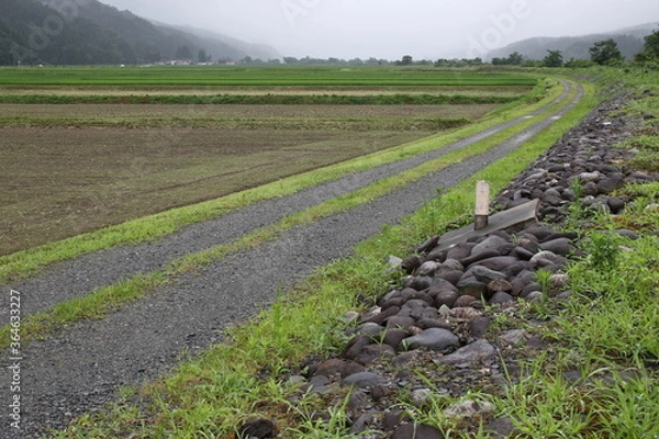 Obraz 田舎の風景