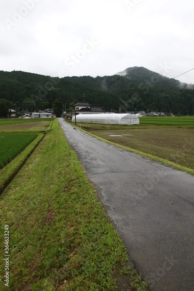 Obraz 田舎の風景
