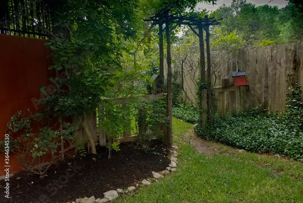 Fototapeta path to the garden