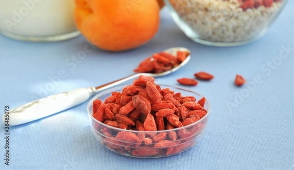 Obraz Goji berries