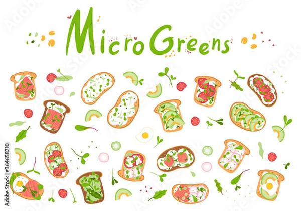 Fototapeta Microgreens.Microgreen sandwich.Seamless pattern on a white background