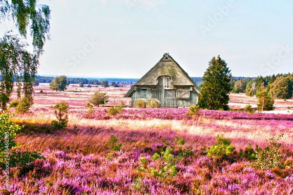 Obraz Pustać Lüneburska, HDR