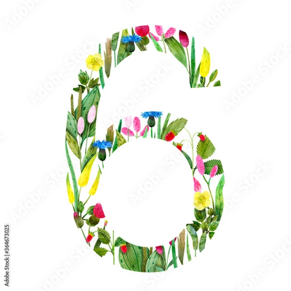 Obraz wild flowers in the form of numbers six