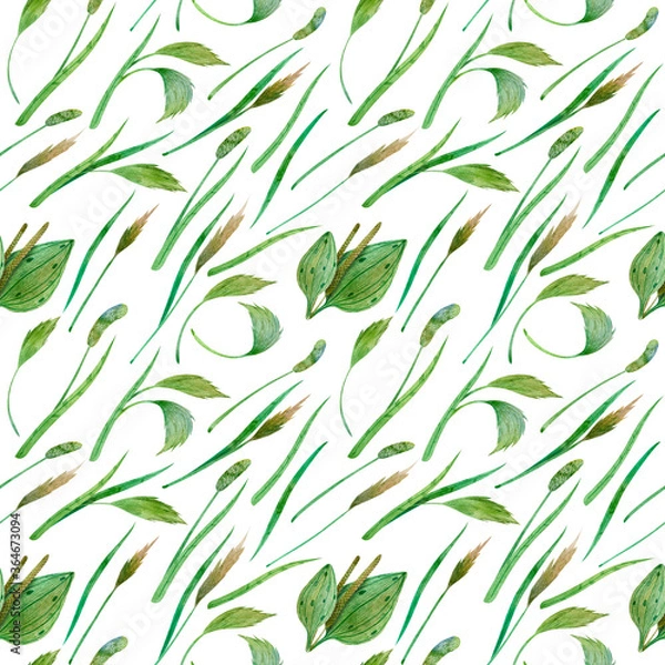Obraz Wild grass seamless background
