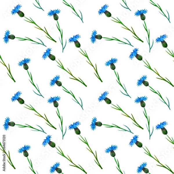 Obraz Seamless pattern with wild blue cornflower