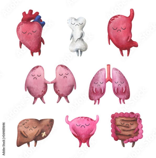 Fototapeta A set of painful internal organs. Sad characters: heart, bone, stomach, kidneys, lungs, liver, bladder, intestines. Children's watercolor illustration. Stock image on a white background.