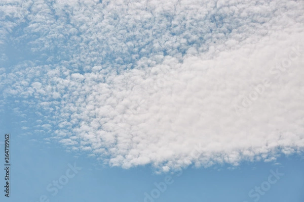 Fototapeta cumulus clouds on a summer day