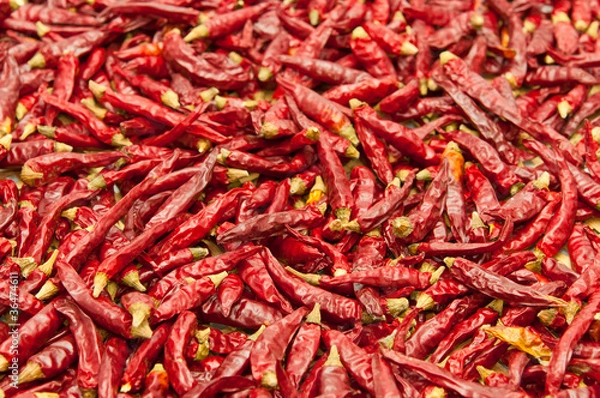 Fototapeta 沢山の唐辛子