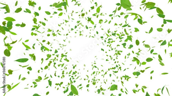 Obraz Green Flying leaves leaf 3D illustration background