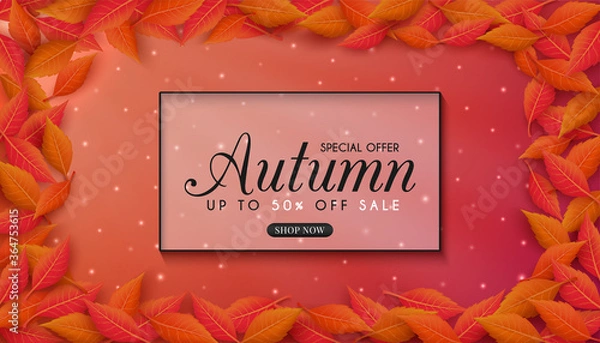 Fototapeta Autumn sales banner design with colorful seasonal fall leaves. and concept autumn advertising. for shopping discount promotion, frame leaflet or web banner. and used as illustration or background.