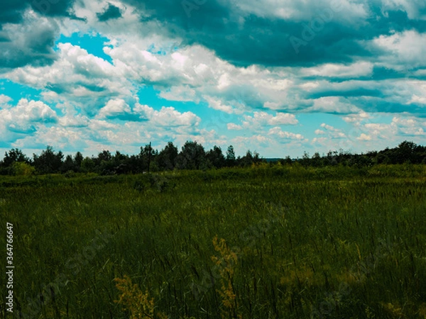 Obraz Landscape of the Botanical Garden in Radzionków. Free entry space.