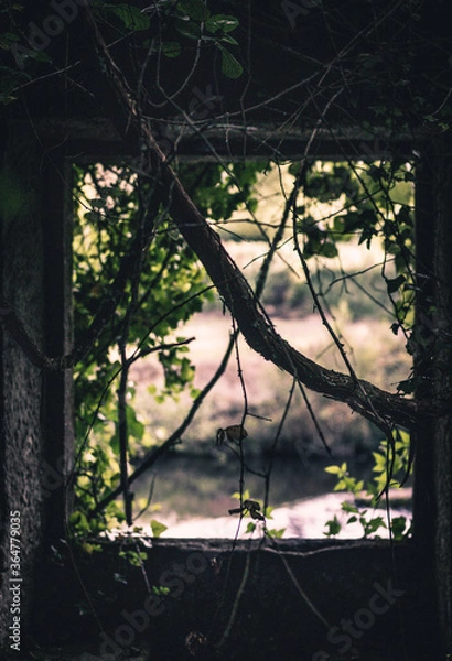 Obraz Janela da Natureza