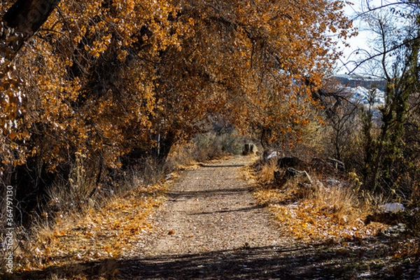 Fototapeta Autumn Path