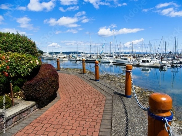 Fototapeta Tranquil walkway around marina with moored yachts in Sidney on Vancouver Island, British Columbia, Canada
