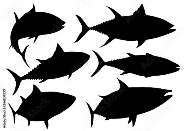 Obraz Tuna fish in the set.