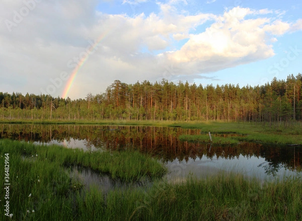 Obraz rainbow over the lake