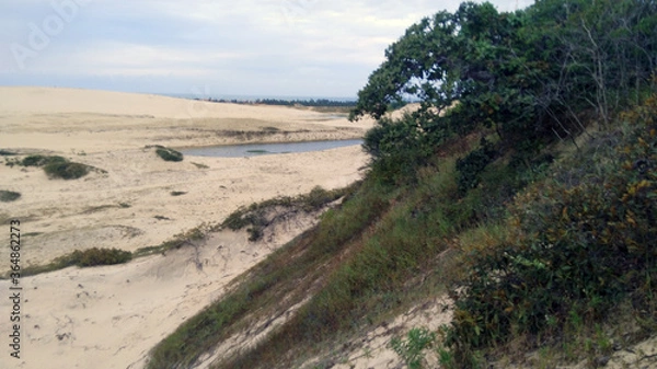 Fototapeta path in the dunes