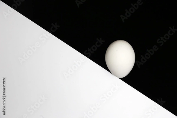 Fototapeta Single white egg balanced on lower right of diagonal black and white background