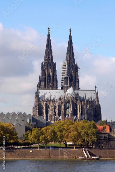 Fototapeta Kölner Dom am Rhein