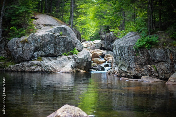Obraz waterfall in the forest