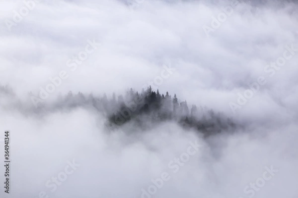 Fototapeta Amazing landscape with high mountains, fog and sky. The early morning mist. Majestic spring day. Dense fog with beautiful light. The lawn with green grass. Free space for text.